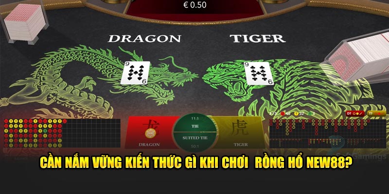 Cần nắm vững kiến thức gì khi chơi  Rồng Hổ New88?