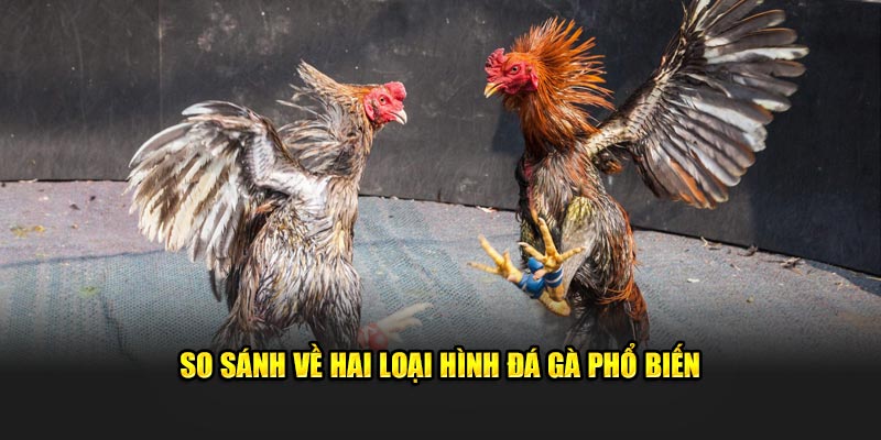 So sánh về hai loại hình đá gà phổ biến 